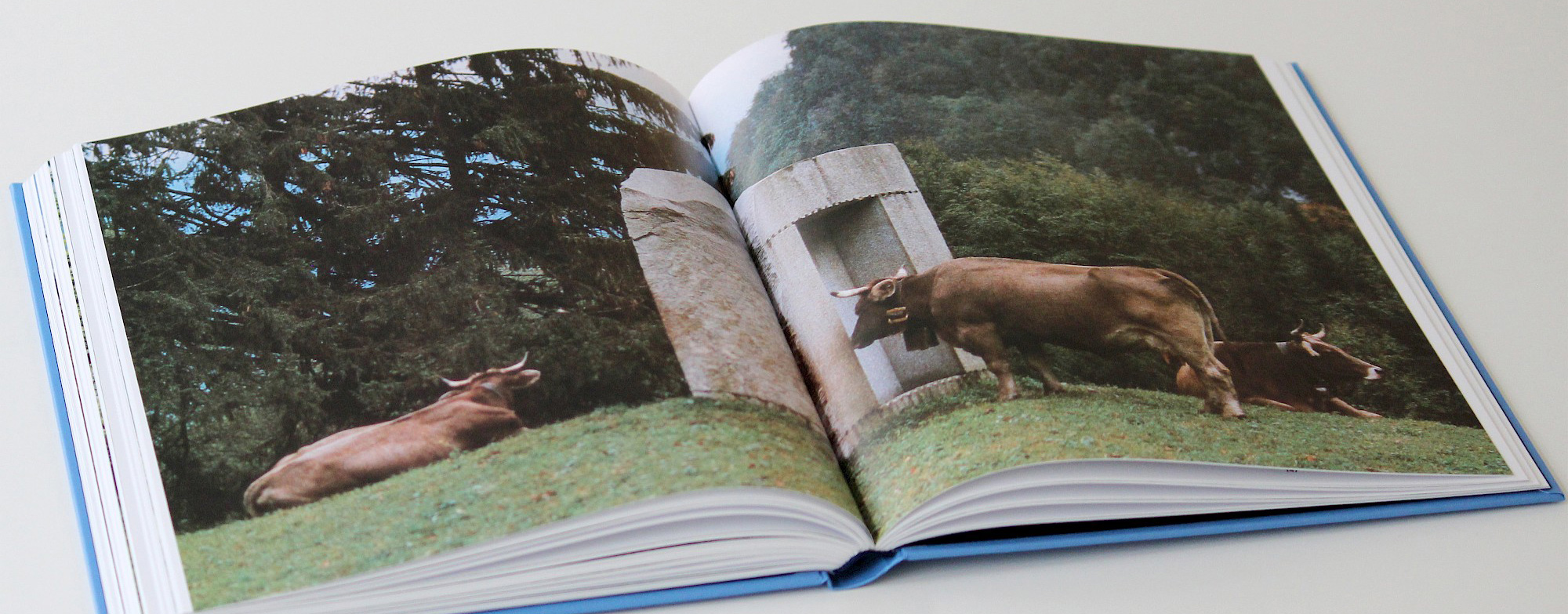 Bücher + Magazine